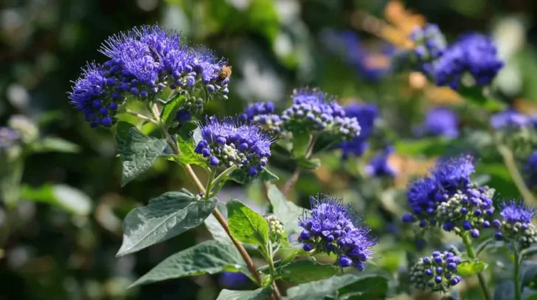 12 Low-Maintenance Shrubs That Deer Will Not Eat
