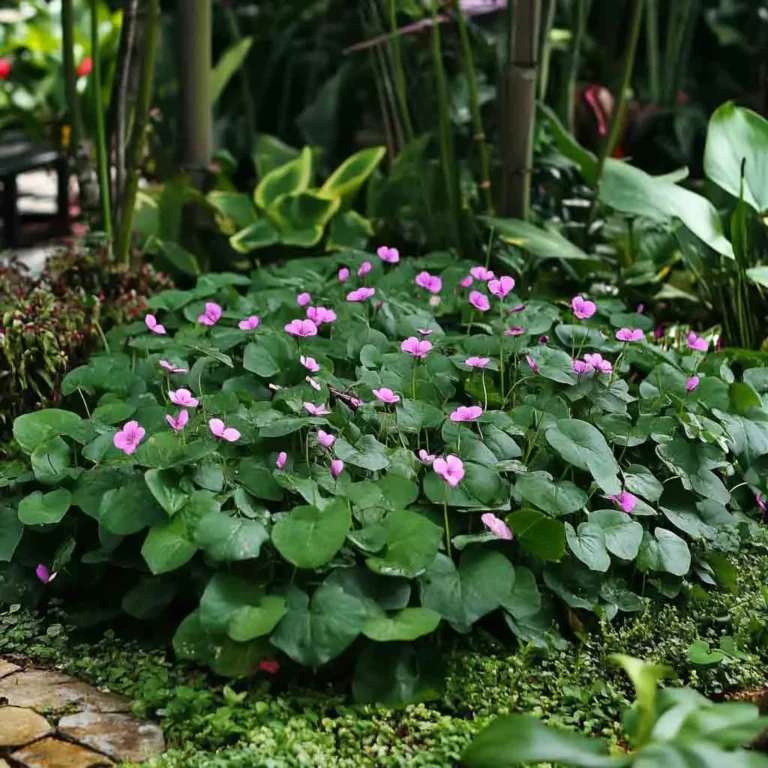 11 Carefree Flowers That Thrive in a Chaos Garden (No Fuss, All Beauty!)