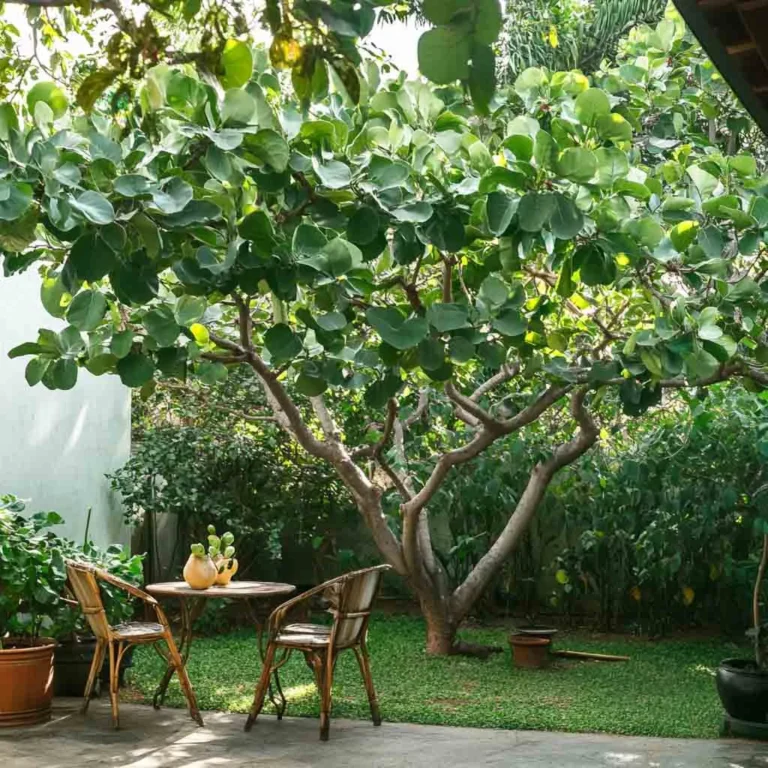 12 Best Flowering Trees & Shrubs For Your Zone 3 Backyards