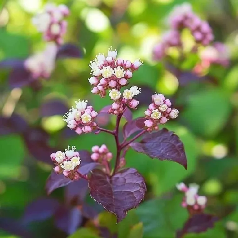 22 Best Fast-Growing Shade Trees for Your Front Yards