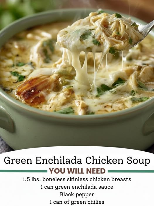 Green Enchilada Chicken Soup