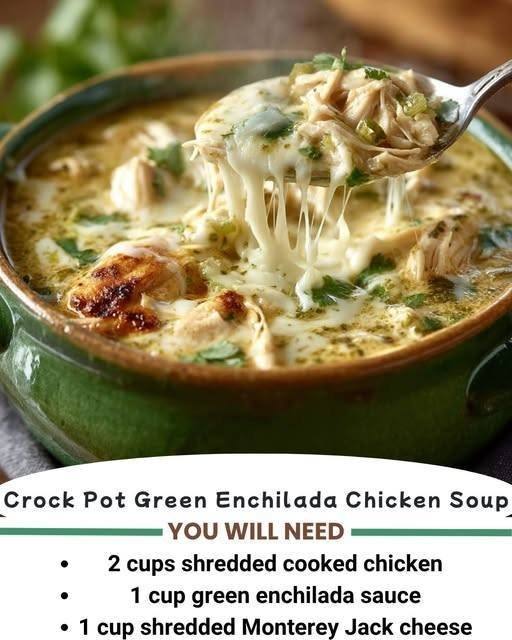 Crock Pot Green Enchilada Chicken Soup