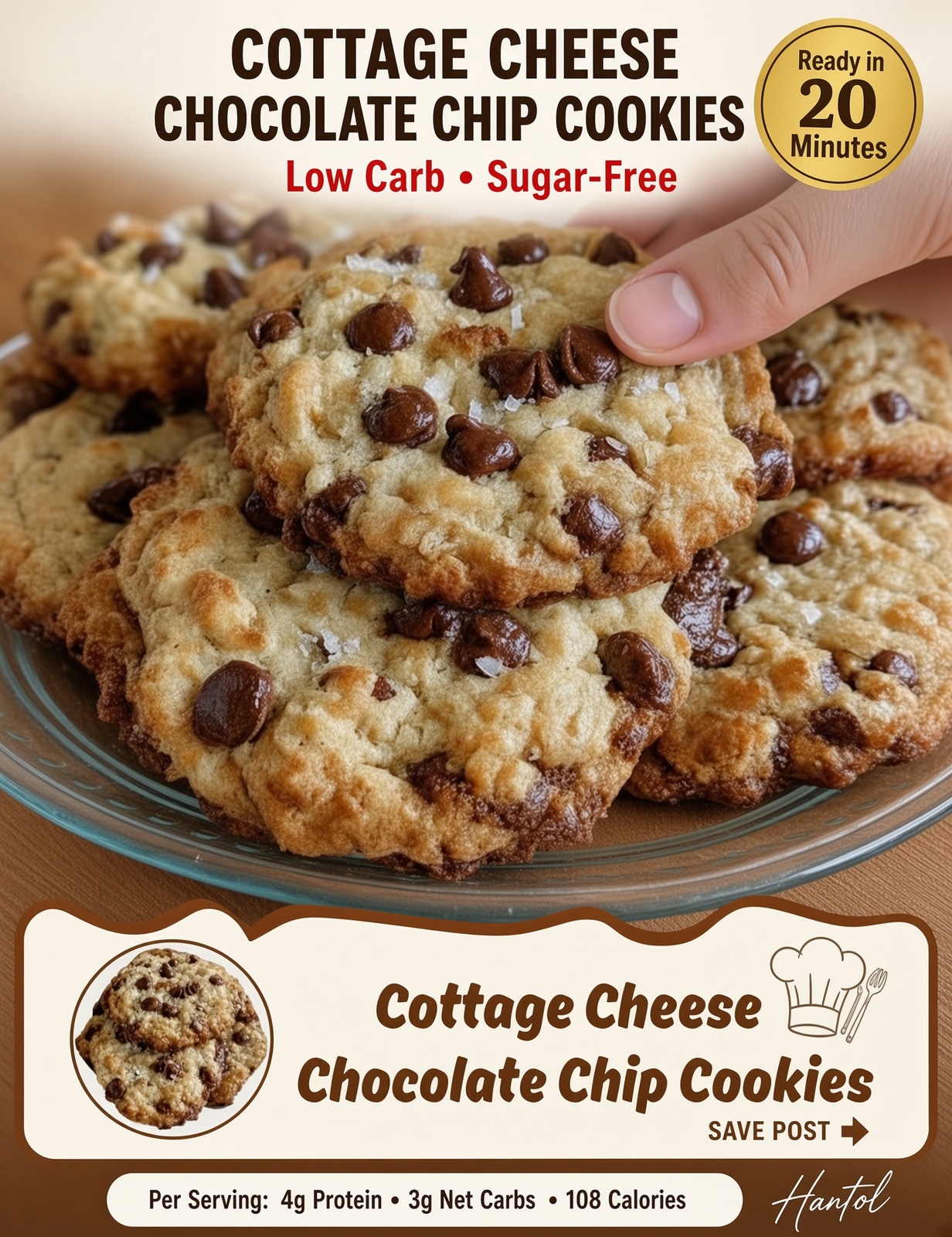 Cottage Cheese Chocolate Chip Cookies