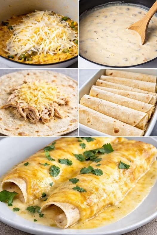 Creamy White Chicken Enchiladas