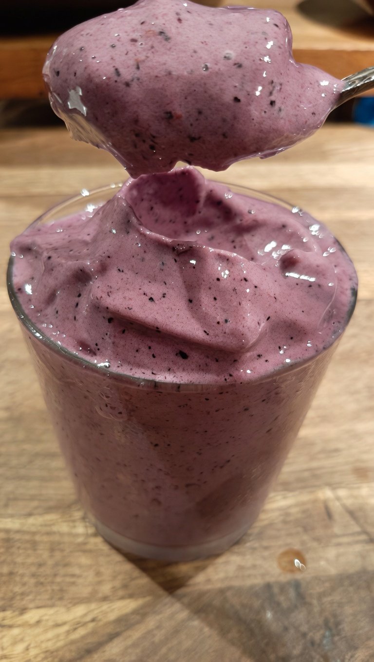 2-Ingredient Low Carb Blueberry Frozen Yogurt
